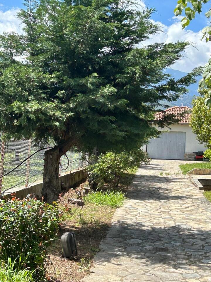 Zeusplace Karia Villa Natura 乐托卡亚 外观 照片
