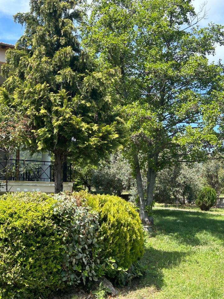Zeusplace Karia Villa Natura 乐托卡亚 外观 照片